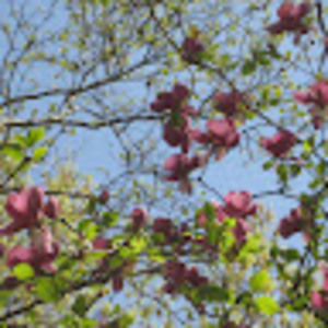 Meet your Posher, Erika